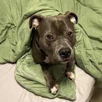 Thumbnail photo of Blue #2