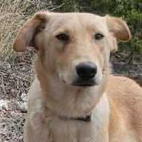 Thumbnail photo of Daisy #1