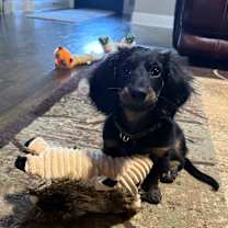 Thumbnail photo of Hayden #4