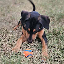 Thumbnail photo of Bingo #3