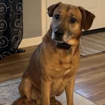 Thumbnail photo of Otto #1