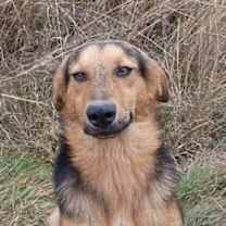 Thumbnail photo of Ranger #3