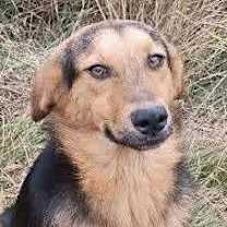 Thumbnail photo of Ranger #1