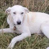 Thumbnail photo of Mercy #2