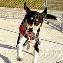 Thumbnail photo of Isabelle #3