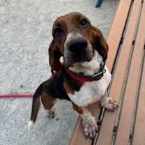 Thumbnail photo of KATIE #2