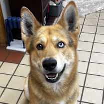 Thumbnail photo of Rocky #3