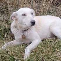 Thumbnail photo of Mercy #3