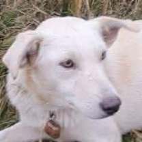 Thumbnail photo of Mercy #1