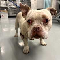 Thumbnail photo of Bruce #1