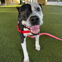 Thumbnail photo of Quelinda #1