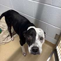 Thumbnail photo of Quelinda #2