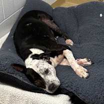 Thumbnail photo of Quelinda #3