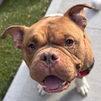 Thumbnail photo of Rylee #3