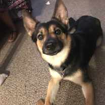 Thumbnail photo of Leyla #1