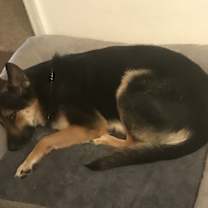 Thumbnail photo of Leyla #2