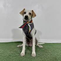 Thumbnail photo of Waffles #2