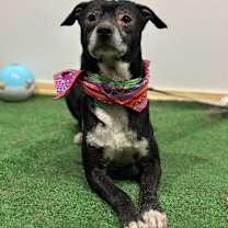 Thumbnail photo of Will Smith #4