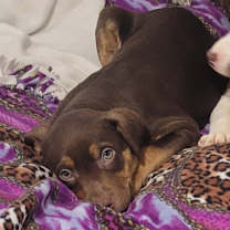 Thumbnail photo of Max #2