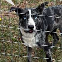 Thumbnail photo of Antonio #2