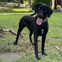 Thumbnail photo of Athena #3