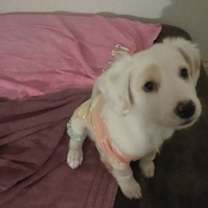 Thumbnail photo of Harry #4