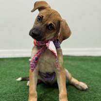 Thumbnail photo of Megan #2