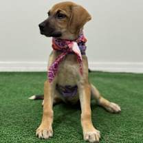 Thumbnail photo of Megan #4