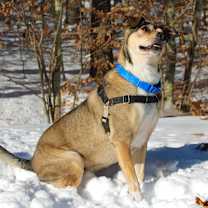 Thumbnail photo of Sunny #1