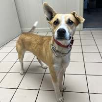 Thumbnail photo of Melvin #4