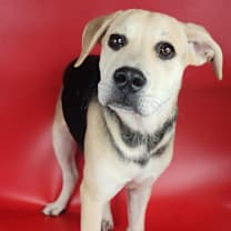 Thumbnail photo of Nila #4