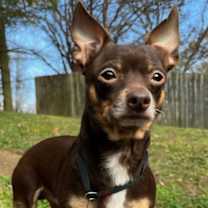 Thumbnail photo of HERMAN #2