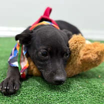 Thumbnail photo of Timmy #3