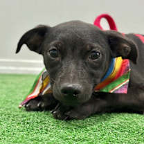 Thumbnail photo of Timmy #4