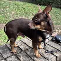 Thumbnail photo of HERMAN #3