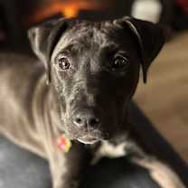 Thumbnail photo of Larry #3