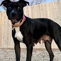 Thumbnail photo of Peggy #1