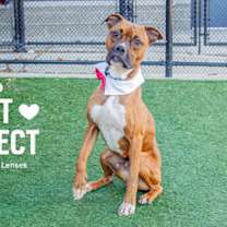 Thumbnail photo of Milo #2