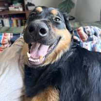 Thumbnail photo of Luna #1