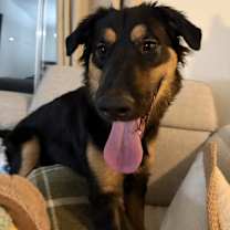 Thumbnail photo of Luna #3