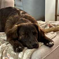 Thumbnail photo of Knox #3