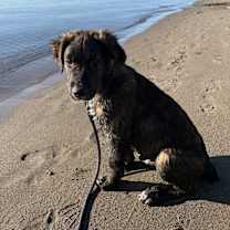 Thumbnail photo of Knox #4