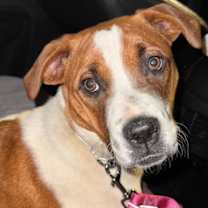 Thumbnail photo of Cammie #2