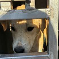 Thumbnail photo of Elmer #2