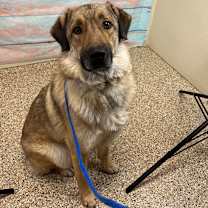 Thumbnail photo of Oryan  #1