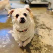 Thumbnail photo of Quigley #2