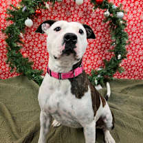 Thumbnail photo of Rory #1