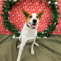 Thumbnail photo of Tucker #1