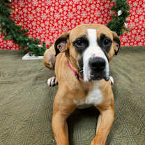 Thumbnail photo of London #1