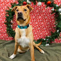 Thumbnail photo of Murphy #1